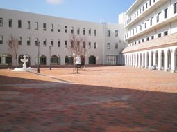 広々とした中庭の風景