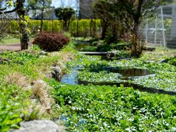 緑豊かな施設中庭