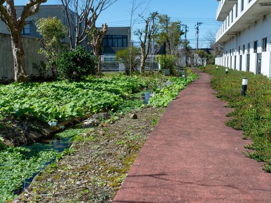 緑豊かな散歩道