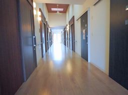 光が差し込む廊下