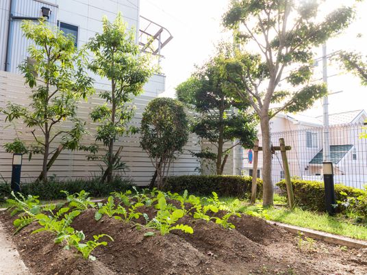 野菜畑がある庭