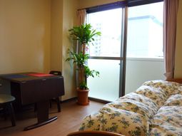 窓際の植物と居室