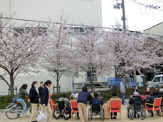 桜並木と利用者の憩い