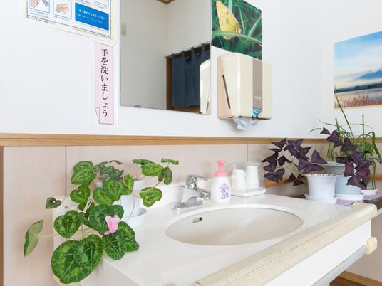 清潔な洗面台と観葉植物