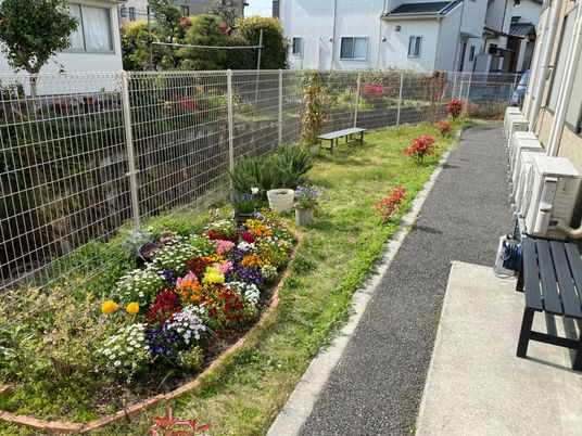 花壇のある庭先  