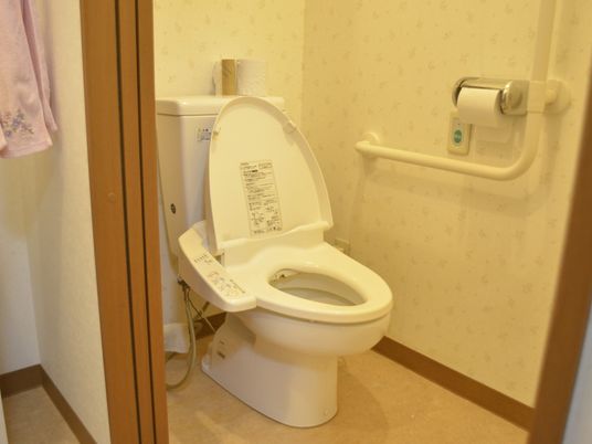 便利な設備のトイレ