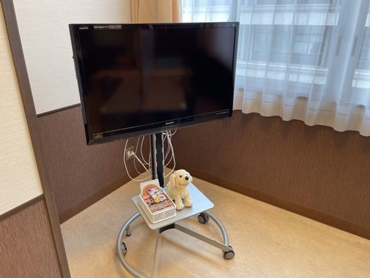 テレビとぬいぐるみの居室