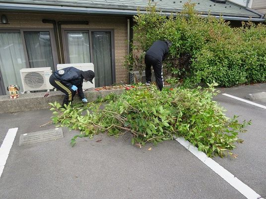 庭木の手入れをする作業中の庭  
