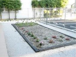 小さな植物のある中庭