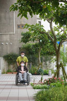 うつくしい庭