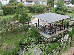 中庭の緑とパーゴラ