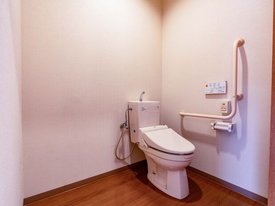 安全な設備のトイレ
