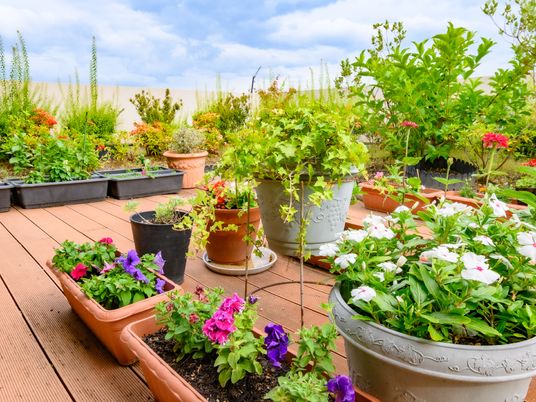 色鮮やかな植物のテラス