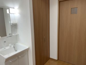 ゆとりの洗面台と扉