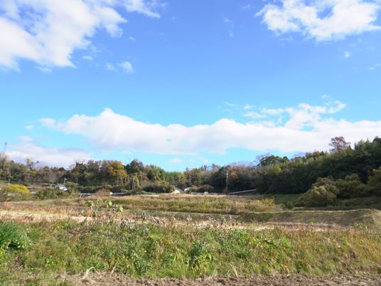 青空と広がる自然の風景