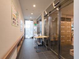 明るい廊下と掲示物