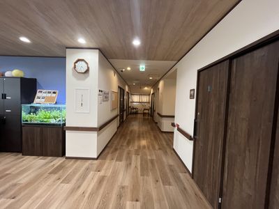 廊下の穏やかな様子
