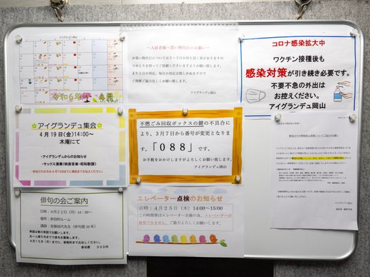 掲示物の様子