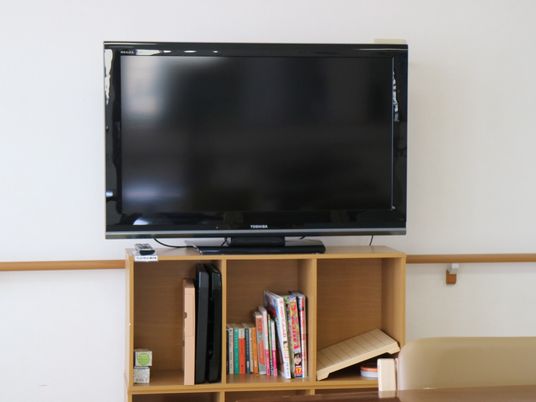 リビングのテレビと棚