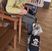 膝の上に犬がいる廊下