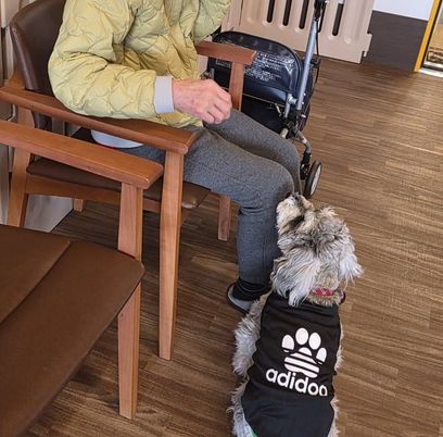 膝の上に犬がいる廊下