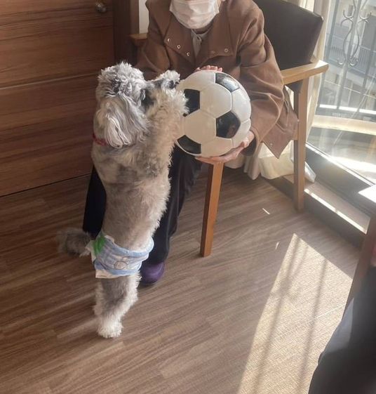 犬と交流する居室