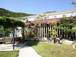 緑あふれる施設の中庭