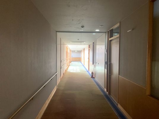 自然光が入る廊下
