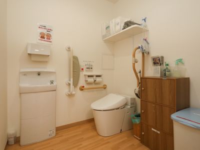 整った手洗い設備のトイレ