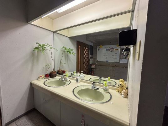 植物のある洗面台