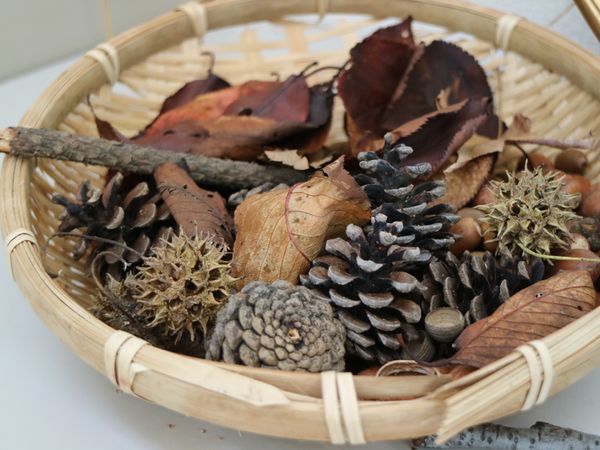 秋の装飾品が入った籠