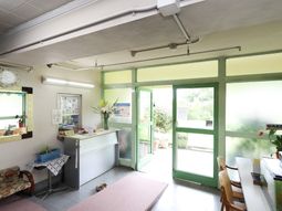 緑あふれる明るいエントランス