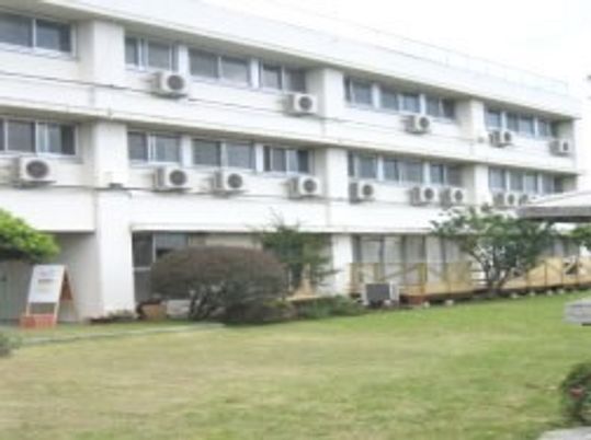 広い中庭に芝生が敷いてある様子。そのほかの植物もある広めの庭と建物