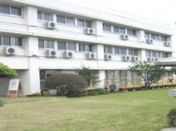 明るい外観と緑の庭