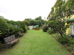 緑豊かな庭の風景