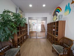 エントランスの縦長の植物