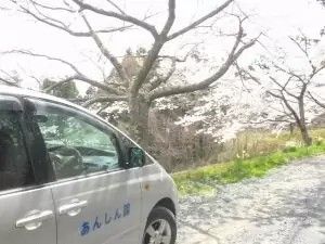 桜並木の外観  