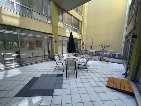 中庭の落ち着いた光景