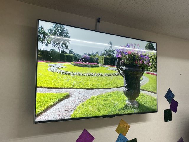 壁掛けテレビの中庭映像 テレビ 壁に取り付けられた大型テレビで、彩り豊かな中庭が映し出され、閑静で安らげる雰囲気を演出しています。
