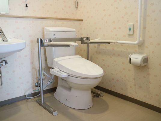 手すり付きトイレの内観