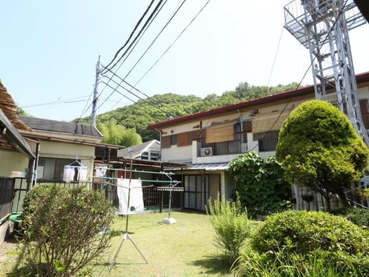 緑豊かな庭の景色