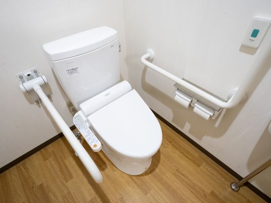 安全設計のトイレ内観