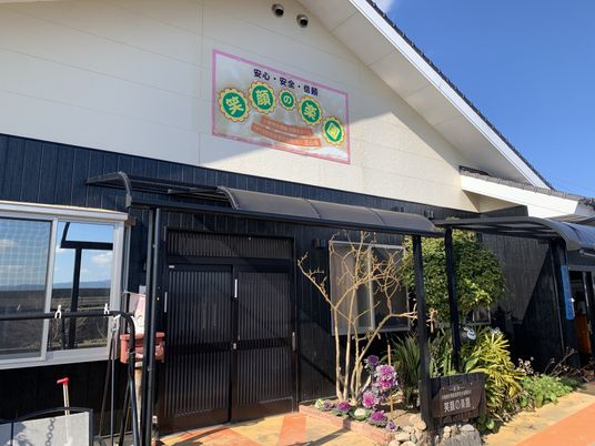 外観建物