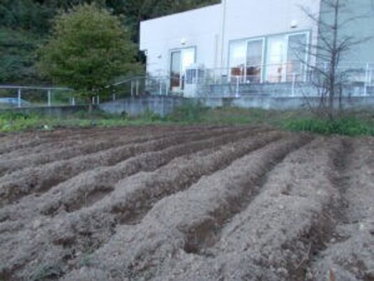 畑と建物の外観  