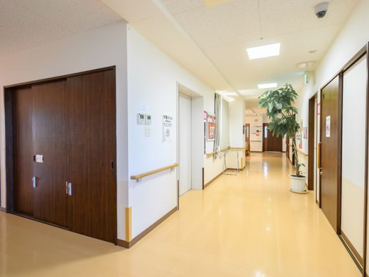 清潔感のある廊下の様子
