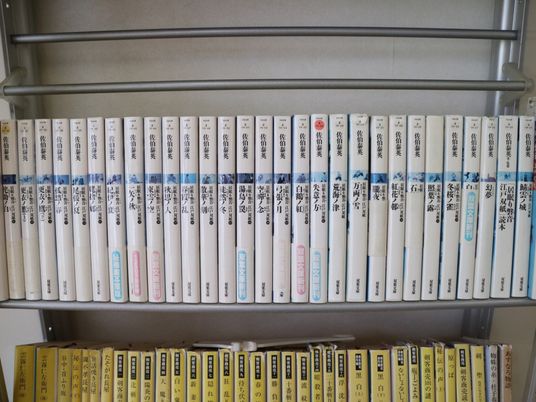 図書の整理された棚