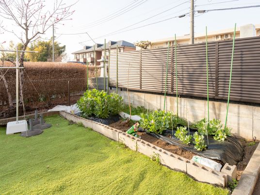 小さな畑が見える庭