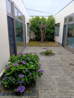 花が咲く中庭