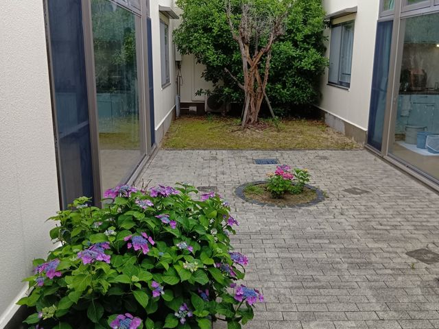 花が咲く中庭 中庭 四季折々の花々が彩る落ち着いた中庭です。自然に囲まれ、リラックスできる空間になっています。