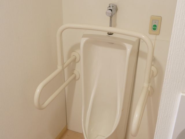 安全な設計のトイレ トイレ 安全と使いやすさを重視したトイレです。手すりが設置され、立ち上がりやすい工夫がされています。
